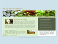 Thumbnail of Web Design Template